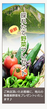 採れたて野菜プレゼント