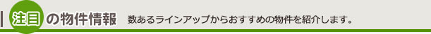 注目の物件情報