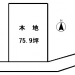 haruna-t29d