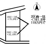 haruna-t30b