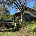 全景