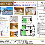 毛呂山町980万円（レインズ）